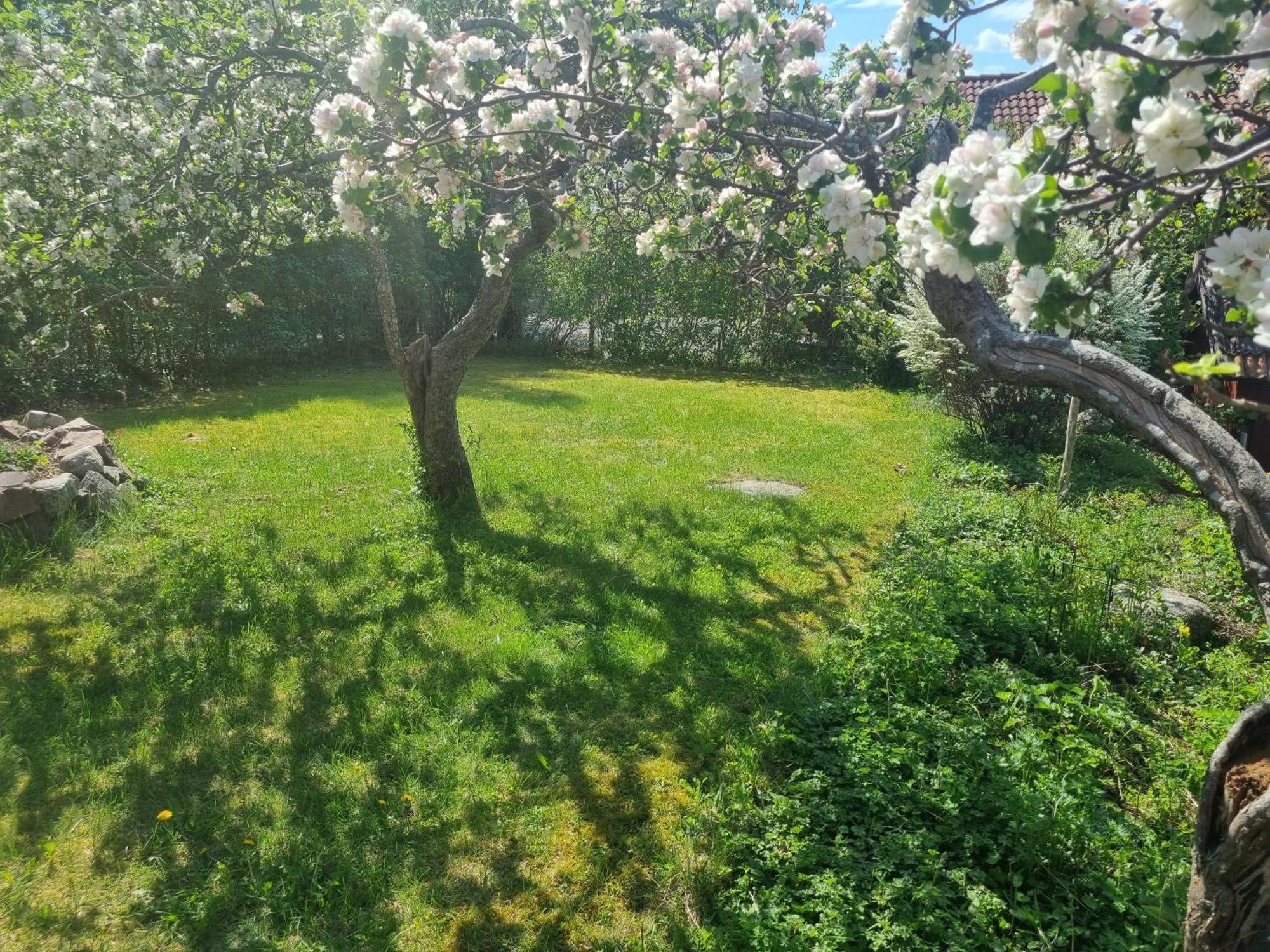 Saellinge House - Cozy Villa With Fireplace And Garden Close To Uppsala Dış mekan fotoğraf